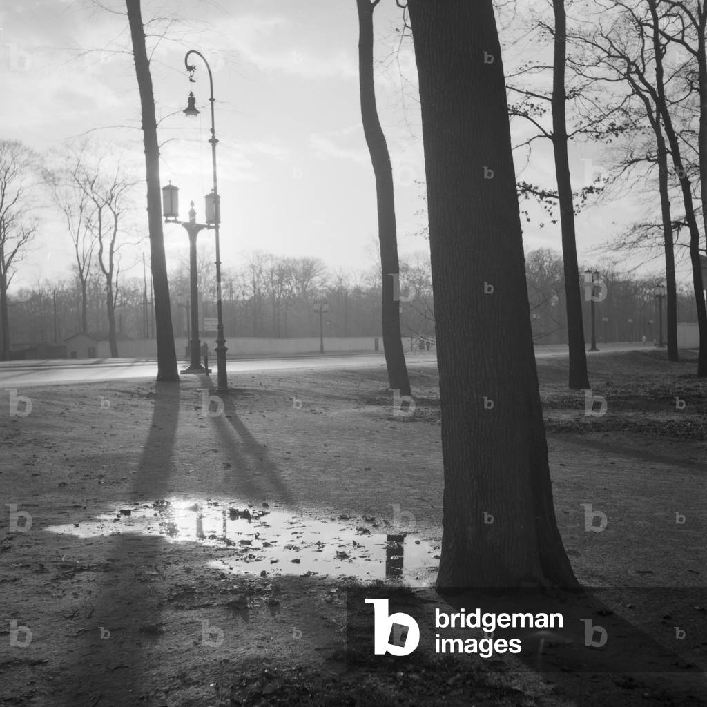 Fall at Berlin, Germany 1930s (b/w photo)