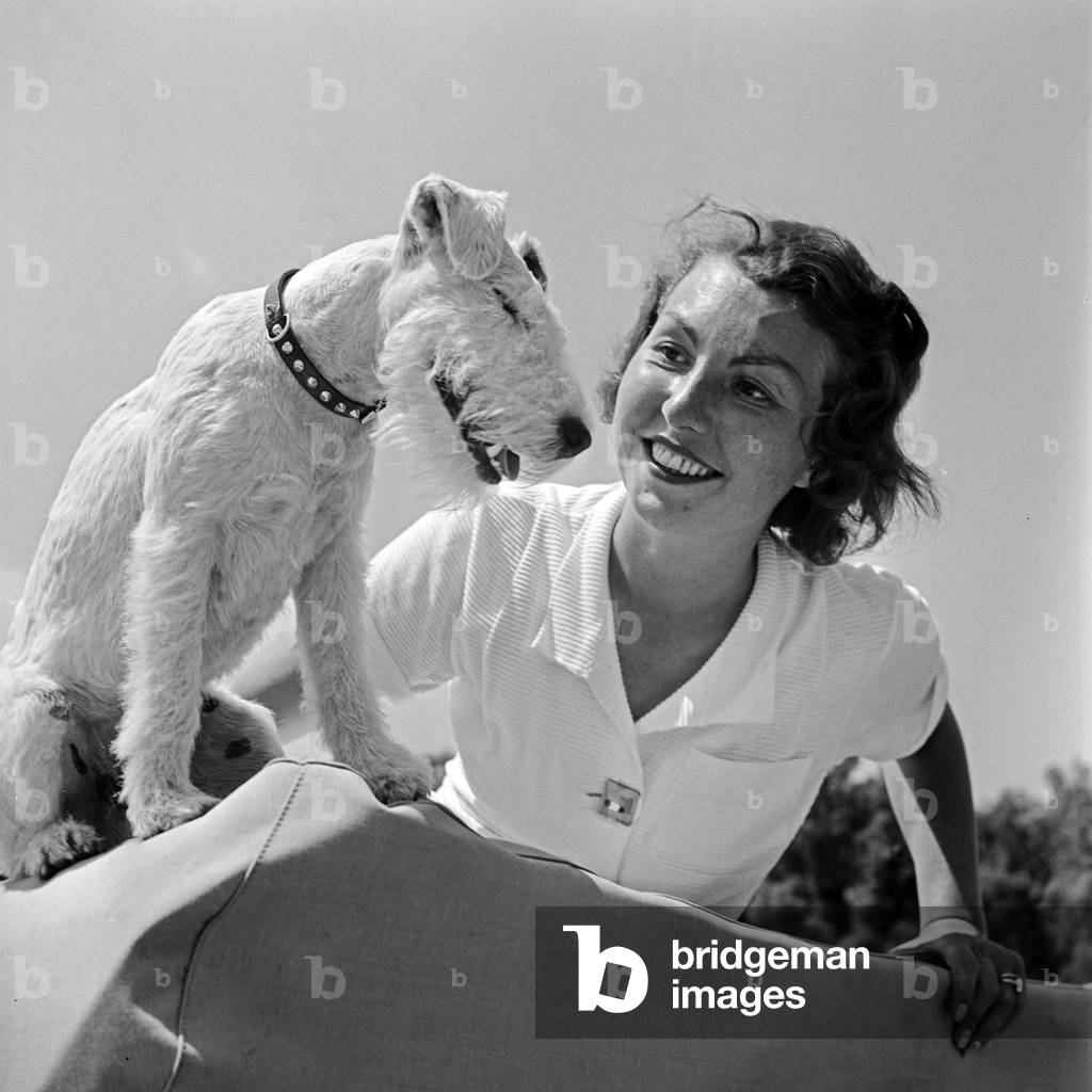 A young woman sitting by the fodling roof of a Ford V8 convertible with her fox terrier pup, Germany 1930s (b/w photo)