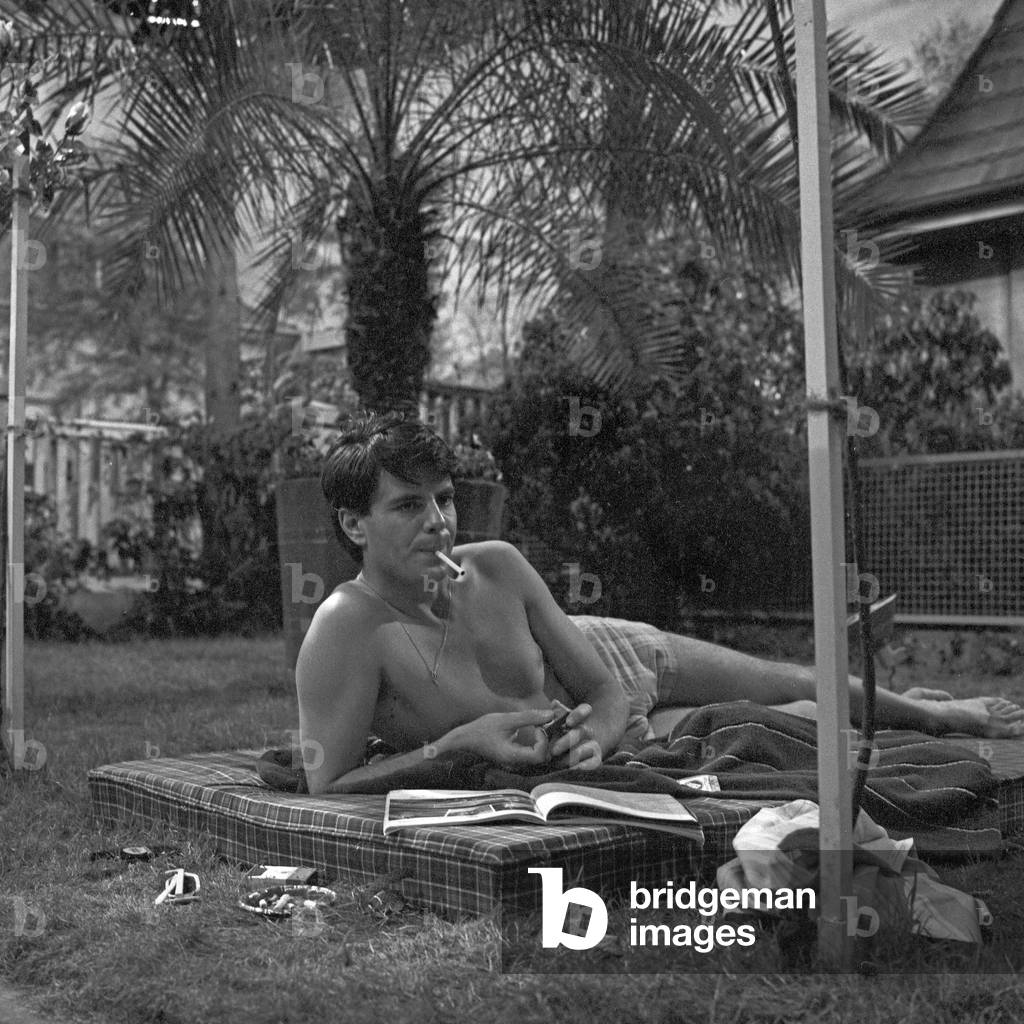 Palme im Rosengarten