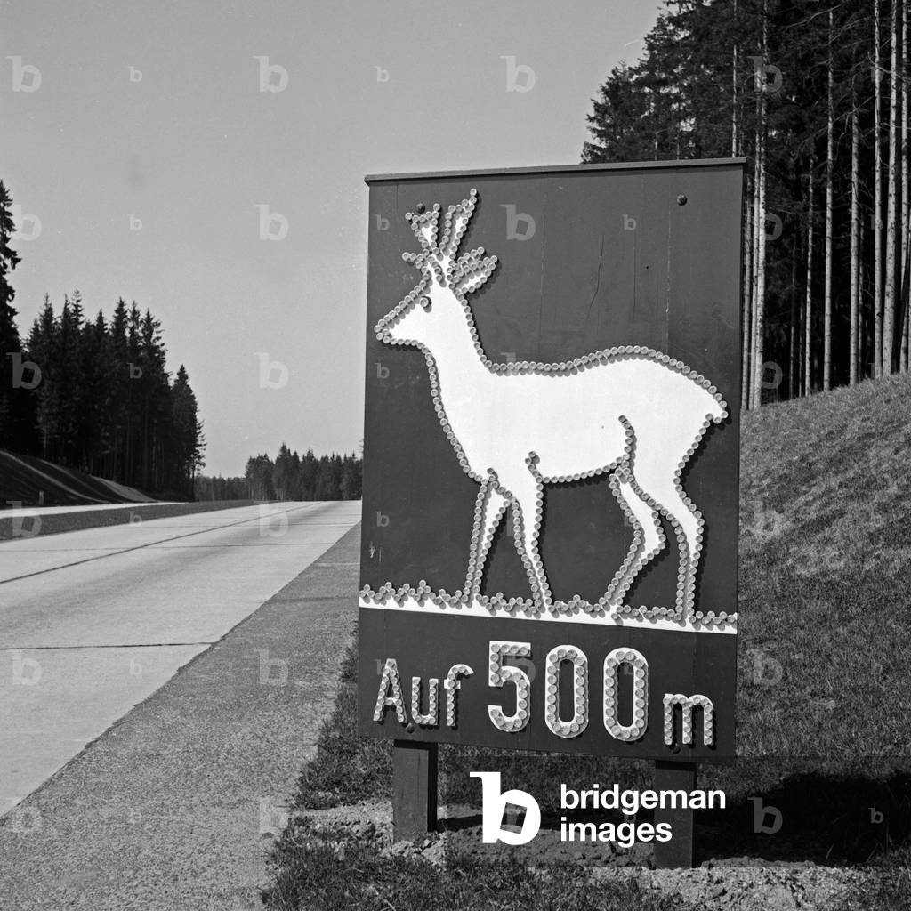 Warning of deer crossing the next 500 meters on the Reichsautobahn highway, Germany 1930s (b/w photo)