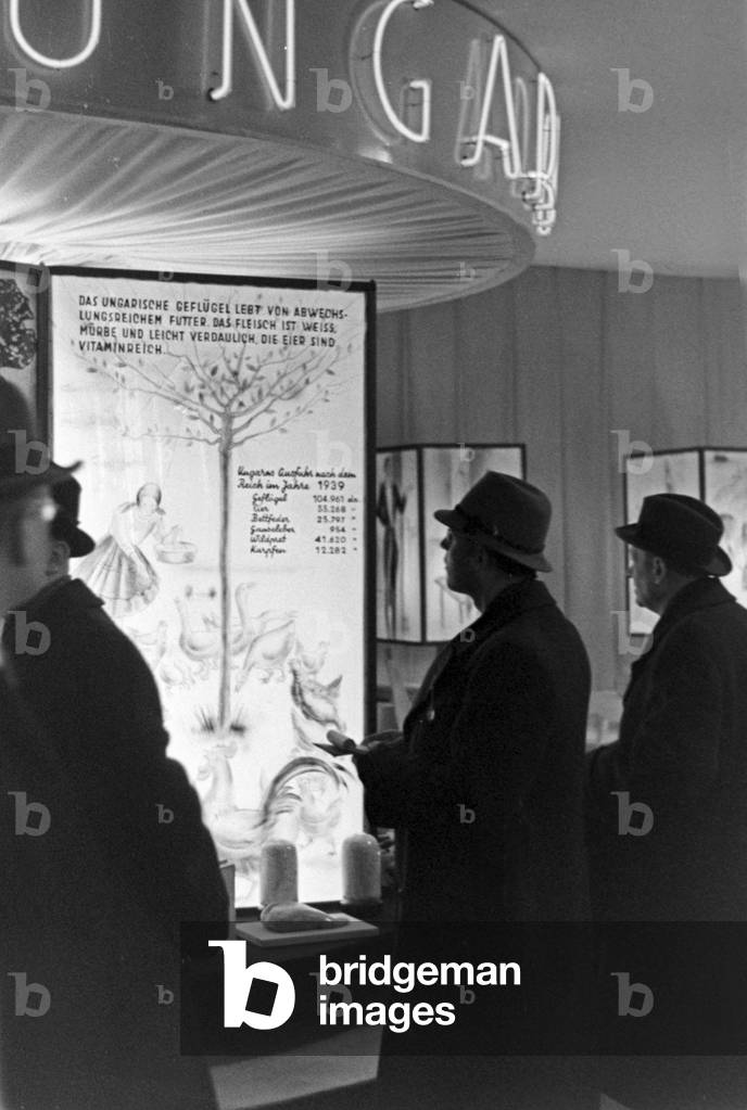 Visitor at the booth of agricultural industry of Hungary at Leipzig trade show, Germany 1940s (b/w photo)