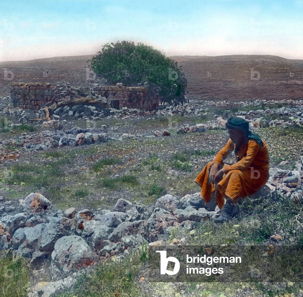 The area of the ancient city of Siloh where the arc of covenant could have been kept, 1920s