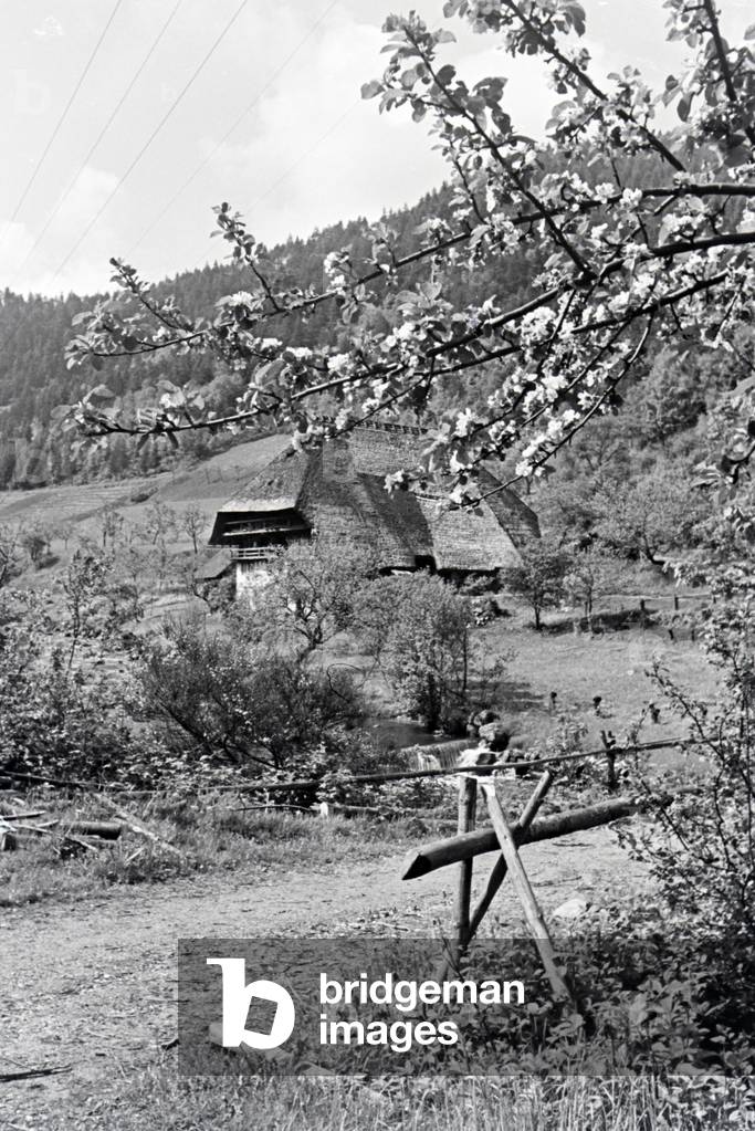 An excursion to the Black Forest, Germany 1930s (b/w photo)
