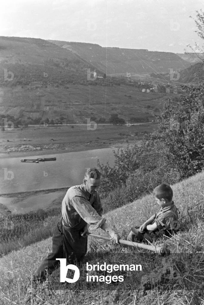 Winegrower at work, Germany 1930s (b/w photo)