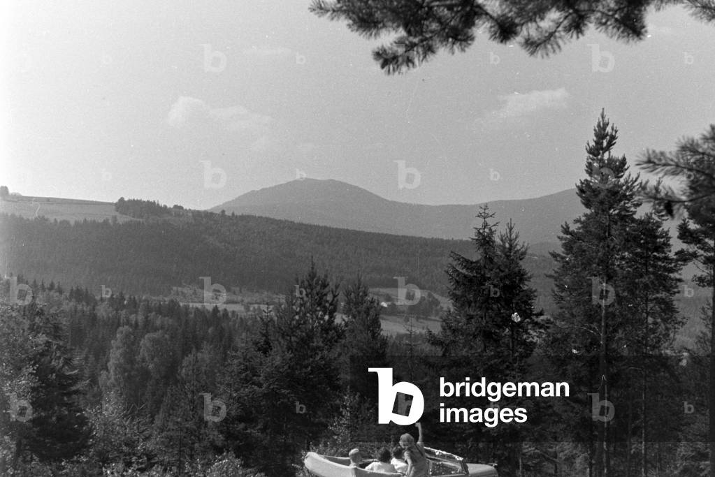 Recovery in the Bohemian Forest, Germany 1930s (b/w photo)