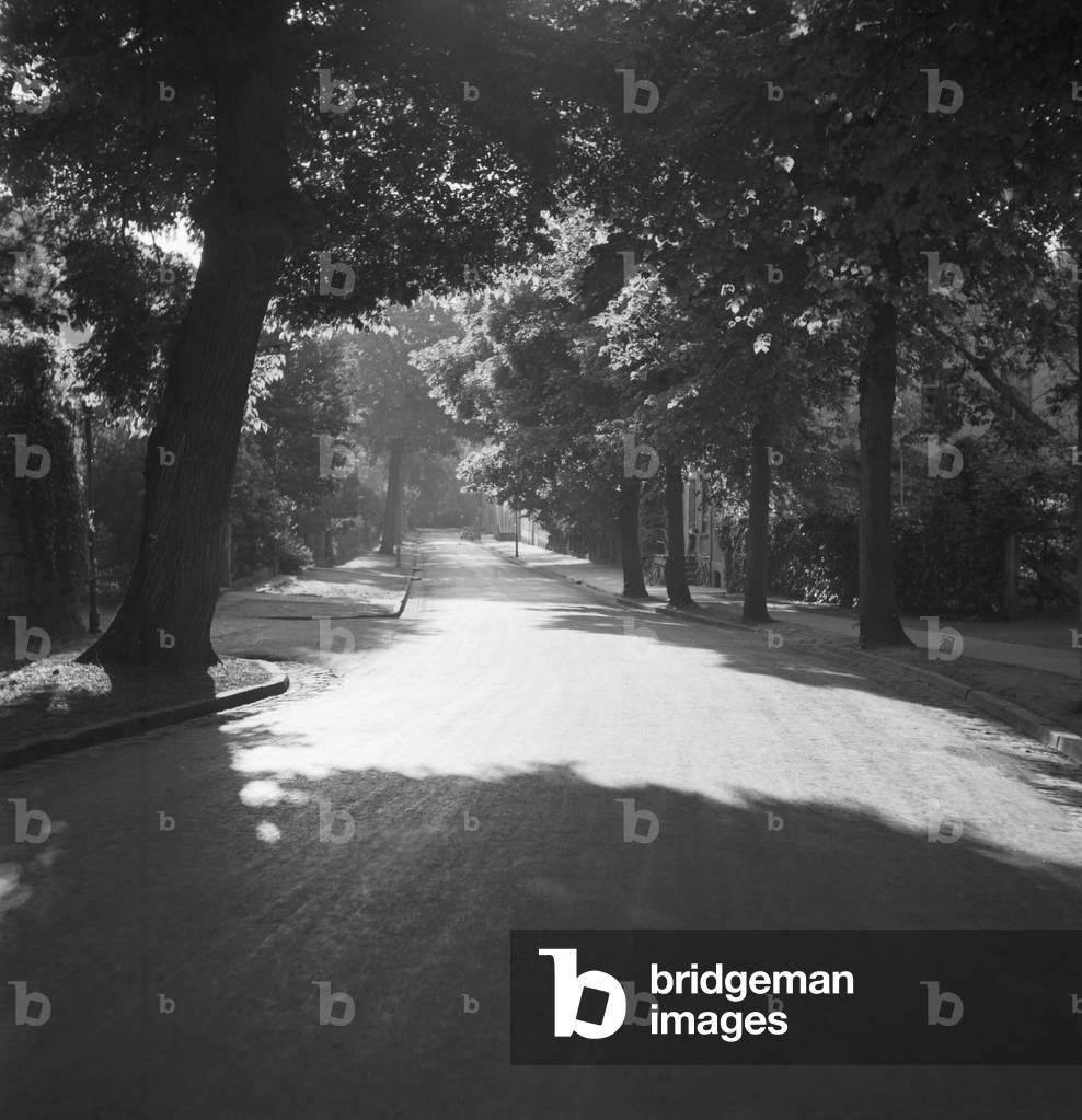 Summer in the countryside, Germany 1930s (b/w photo)