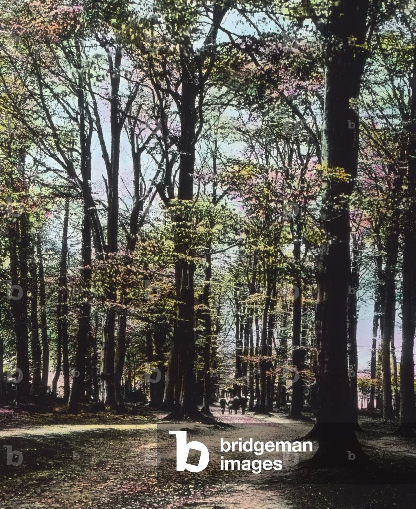 At Aachen forest