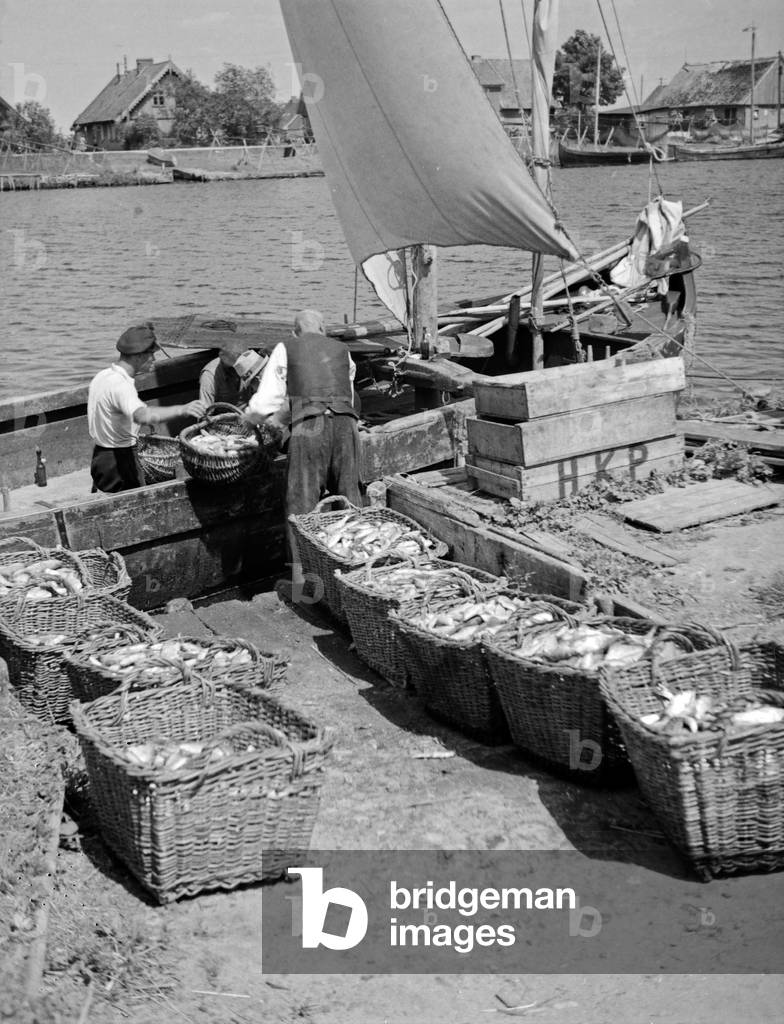 Fishermen sorting their fisheries at Karkeln in the Memel delta, East Prussia, 1930s (b/w photo)