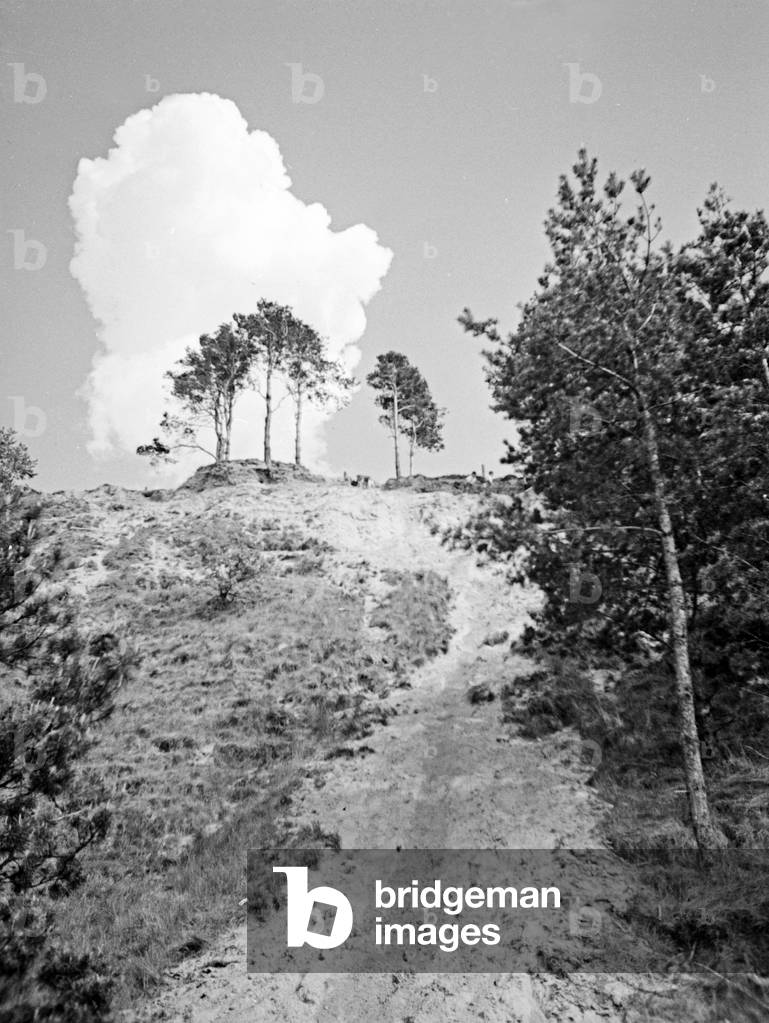 Coast of Vistula Lagoon, East Prussia 1930s (b/w photo)