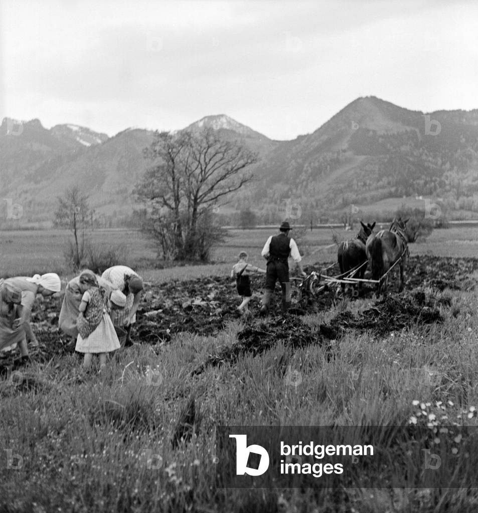 Women helping at a farm at Hohenaschau, Germany 1930s (b/w photo)