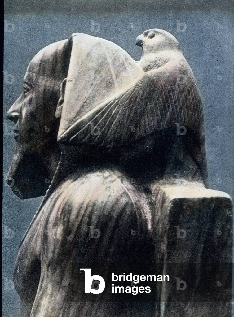 Chief