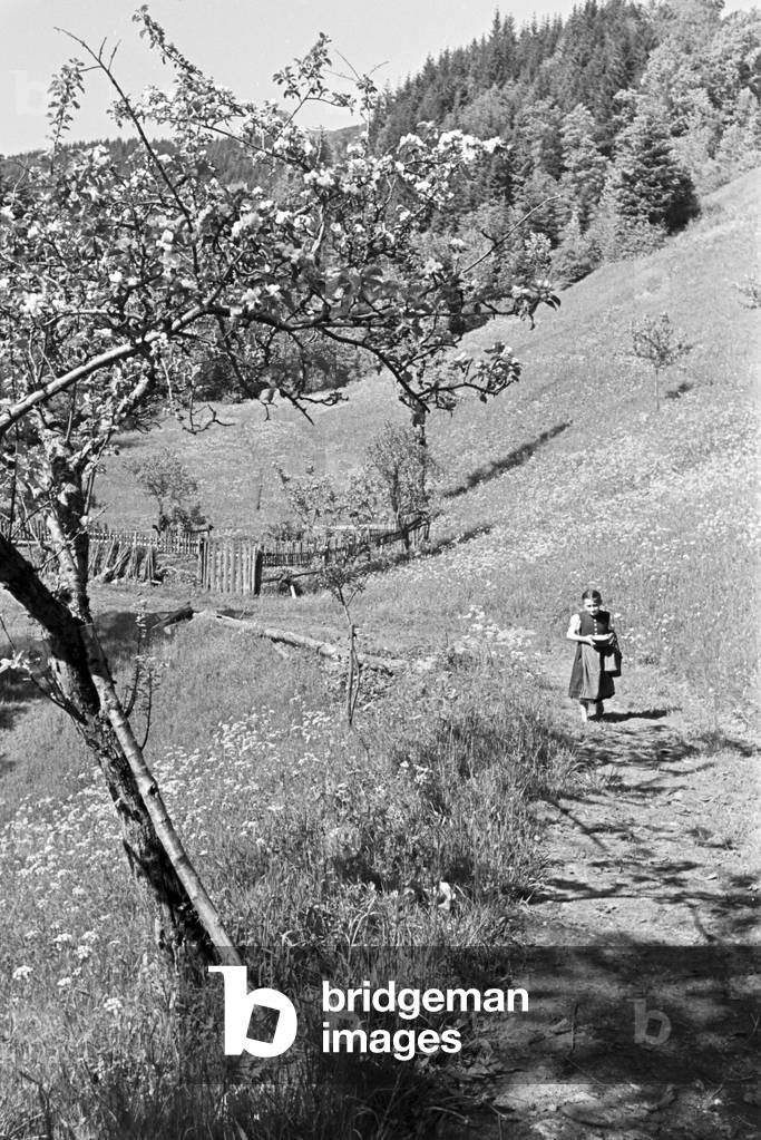 Idyllic panoramic view of the Black Forest, Germany 1930s (b/w photo)