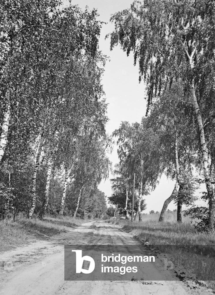 Impression from the German landscape, Germamy 1930s (b/w photo)
