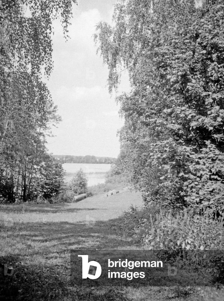 Landscape near Niedersee in Masuria, east Prussia, 1930s (b/w photo)