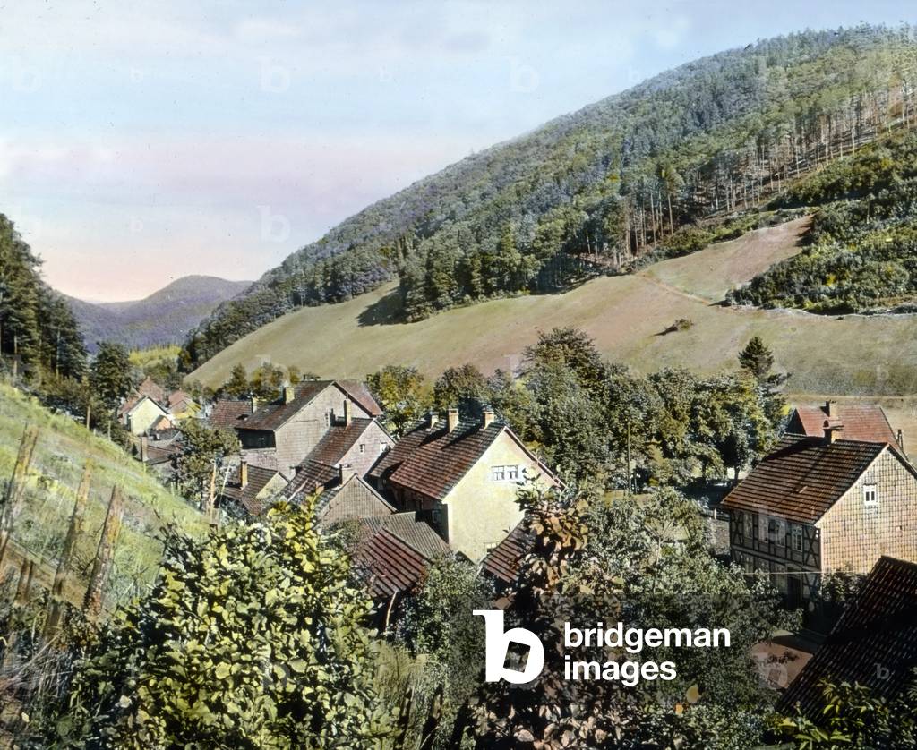 The village Sieber in the Harz region