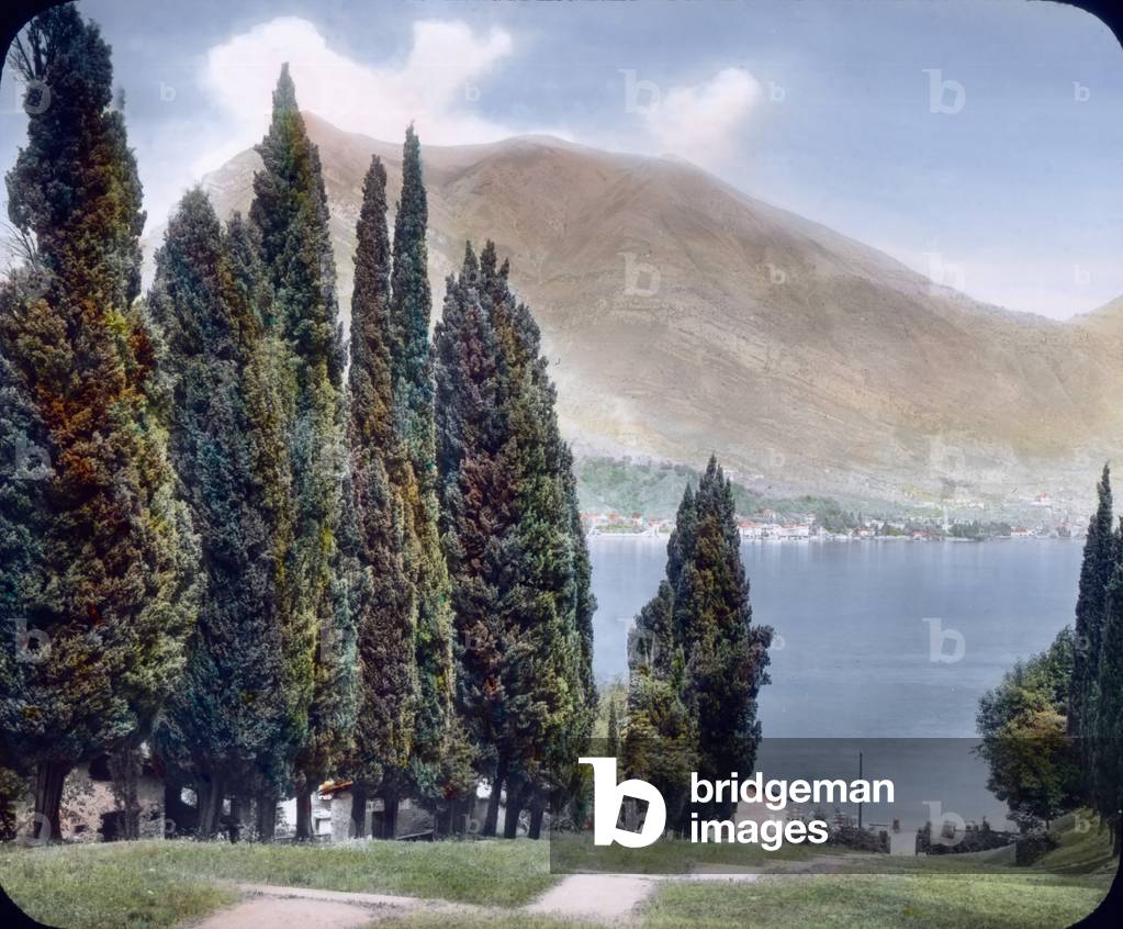 Hand coloured glass slide,