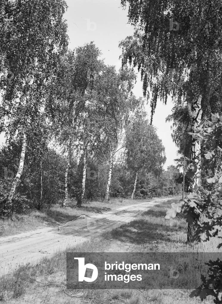 Impression from the German landscape, Germamy 1930s (b/w photo)