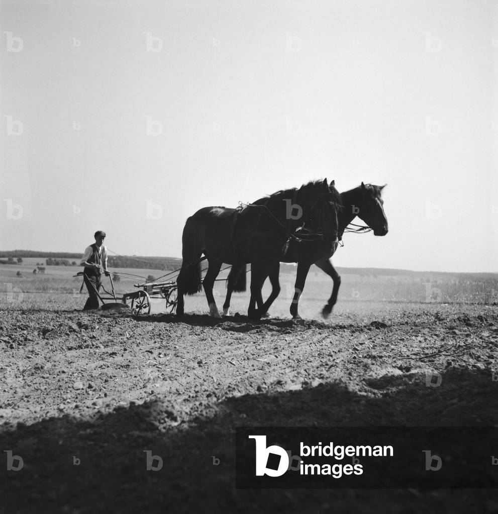 Mare with foal on a corral at Buxtehude near Hamburg, Germany 1930s (b/w photo)