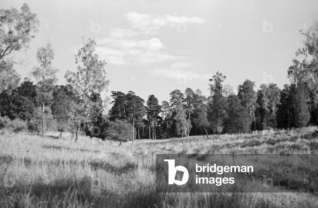 Schorfheide forest area near Berlin, Germany 1930s (b/w photo)