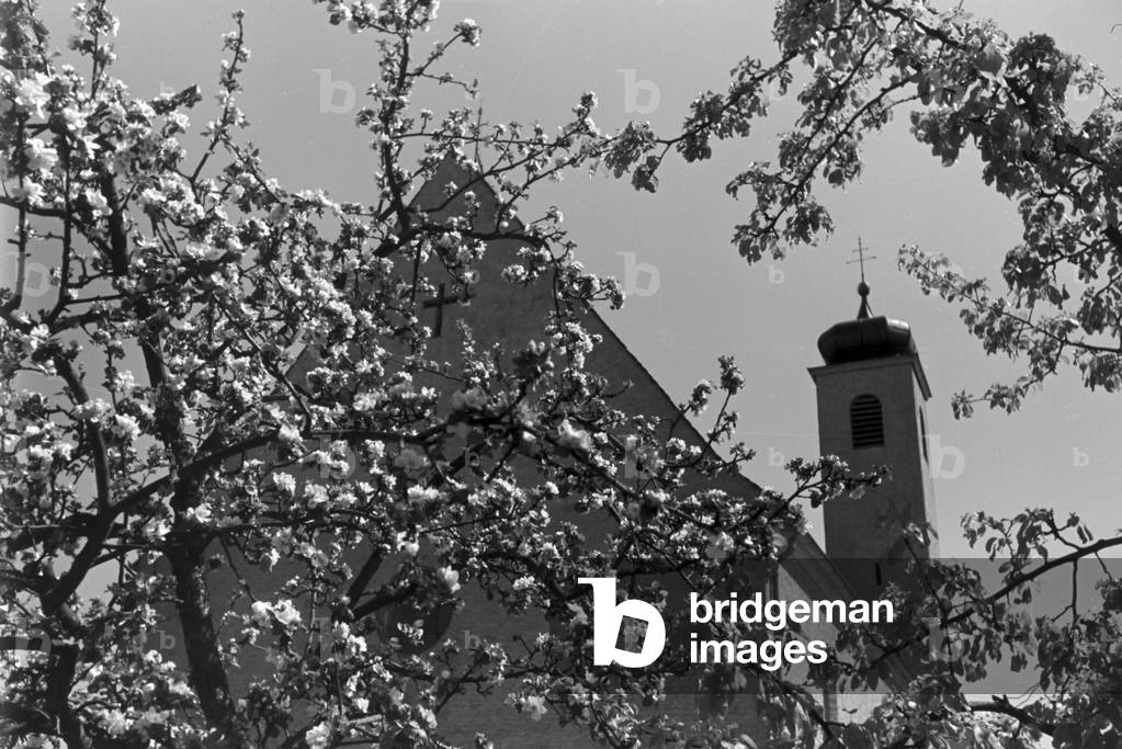 A trip to Heilbronn, Germany 1930s (b/w photo)