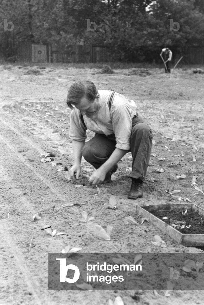 Scenes from everyday life of a agricultural firm, Germany 1930s (b/w photo)