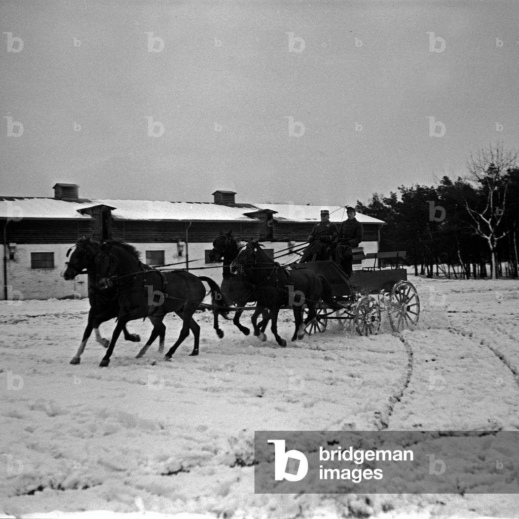 SA men exercising four in hand in the snow at horseriding school at Berlin Zehlendorf, Germany 1930s (b/w photo)