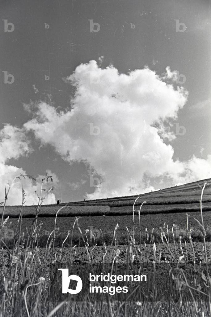 A trip into the Black Forest, Germany 1930s (b/w photo)