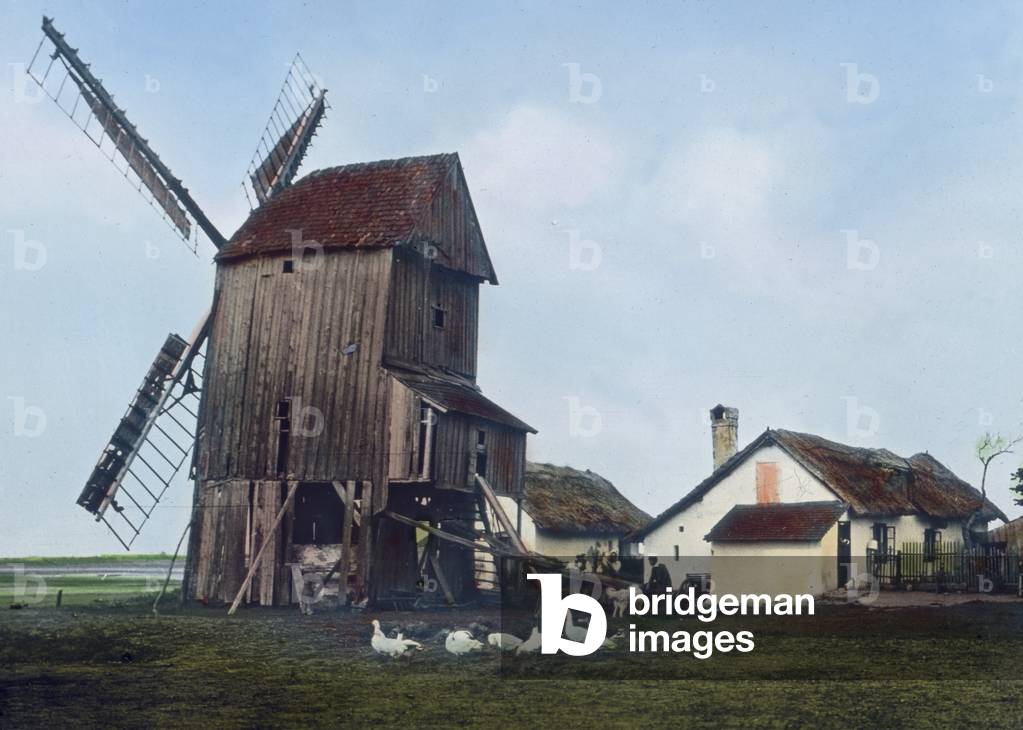 Landscape in Burgenland