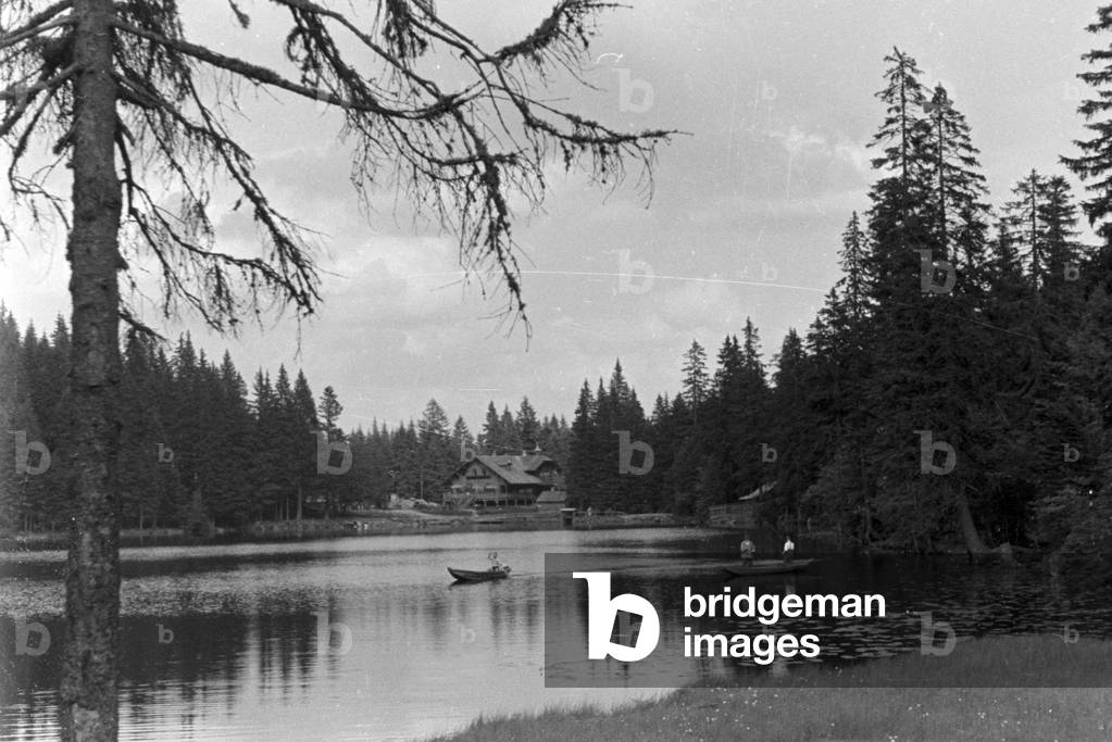 Recovery in the Bohemian Forest, Germany 1930s (b/w photo)