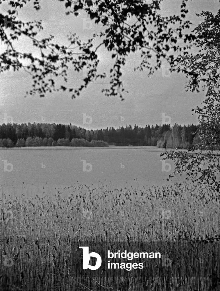 Lake landscape at Masuria near Loetzen, East Prussia, 1930s (b/w photo)