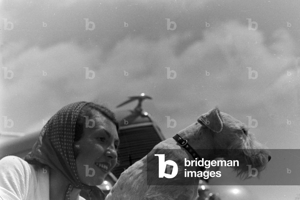 Vacation by car and with the dog, Germany 1930s (b/w photo)