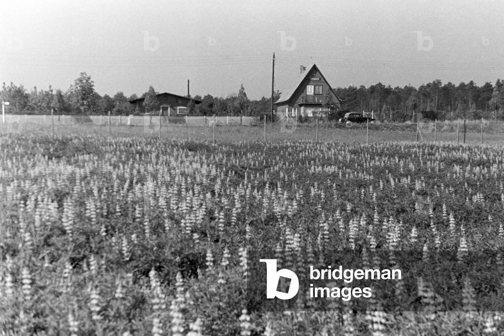 A trip to Stuttgart, Germany 1930s (b/w photo)