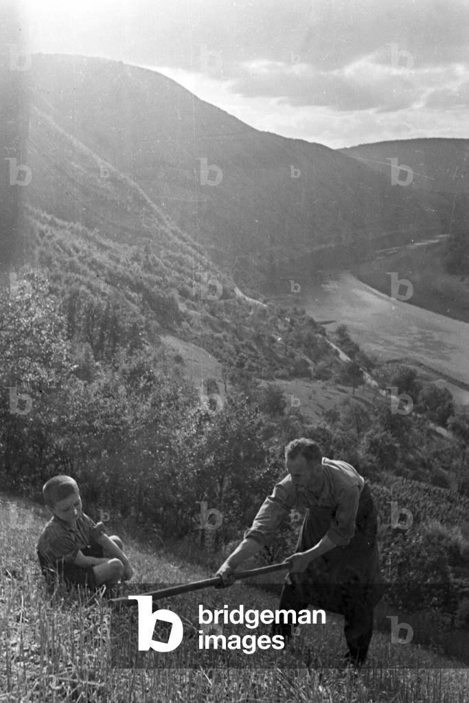 Winegrower at work in the vineyard, Germany 1930s (b/w photo)