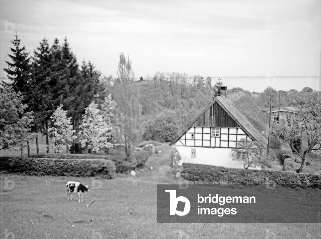 Farm at the village Succase near Elbing heights, East Prussia, 1930s (b/w photo)