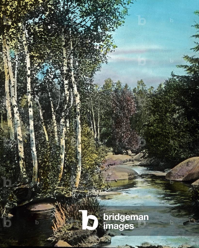 Germany, Baden region, image: the river Gutach in the central Black Forest. Image date: circa 1910. Carl Simon Archive