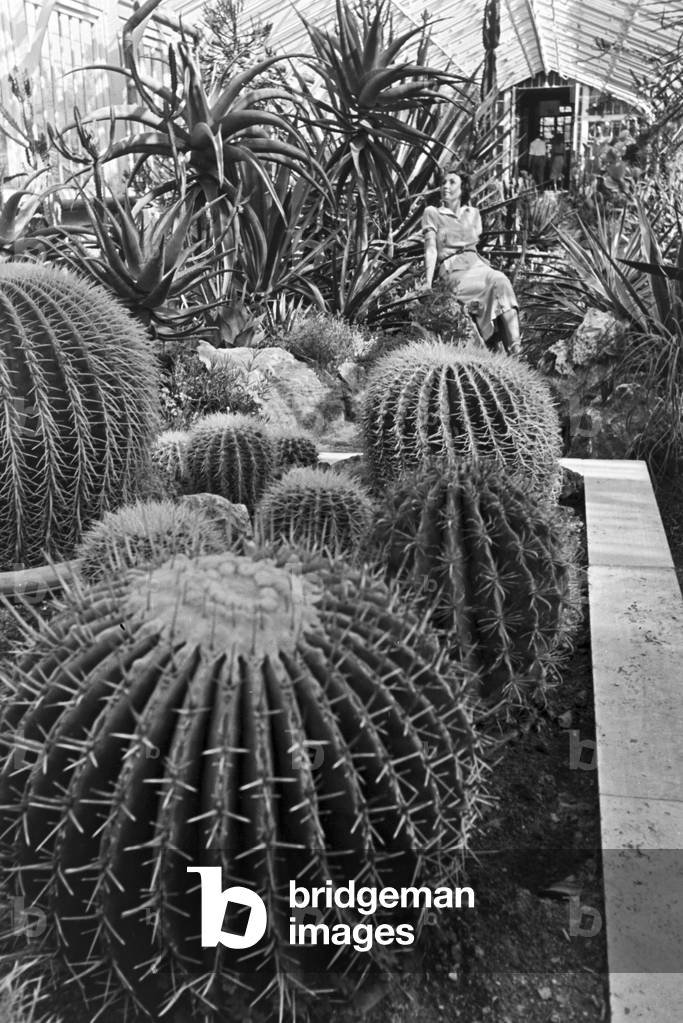 A trip to Stuttgart, Germany 1930s (b/w photo)