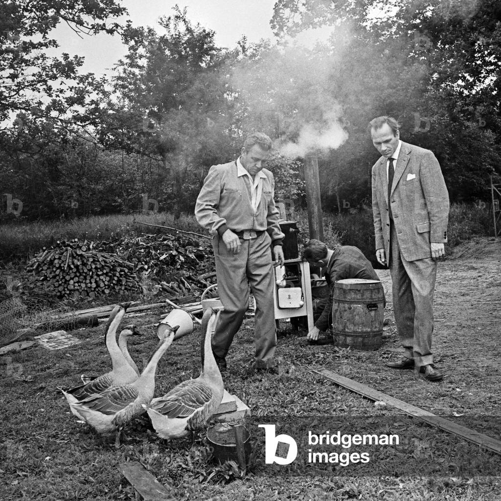 Peter Frankenfeld feeding ducks at Wedel near Hamburg, Germany 1950s