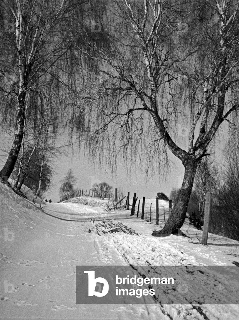 Winter day in Masuria, East Prussia, 1930s (b/w photo)