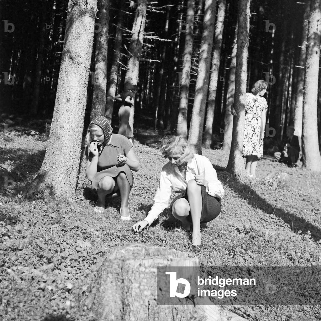 Three young women in a forest at the Wachau area in Austria, Germany 1930s (b/w photo)