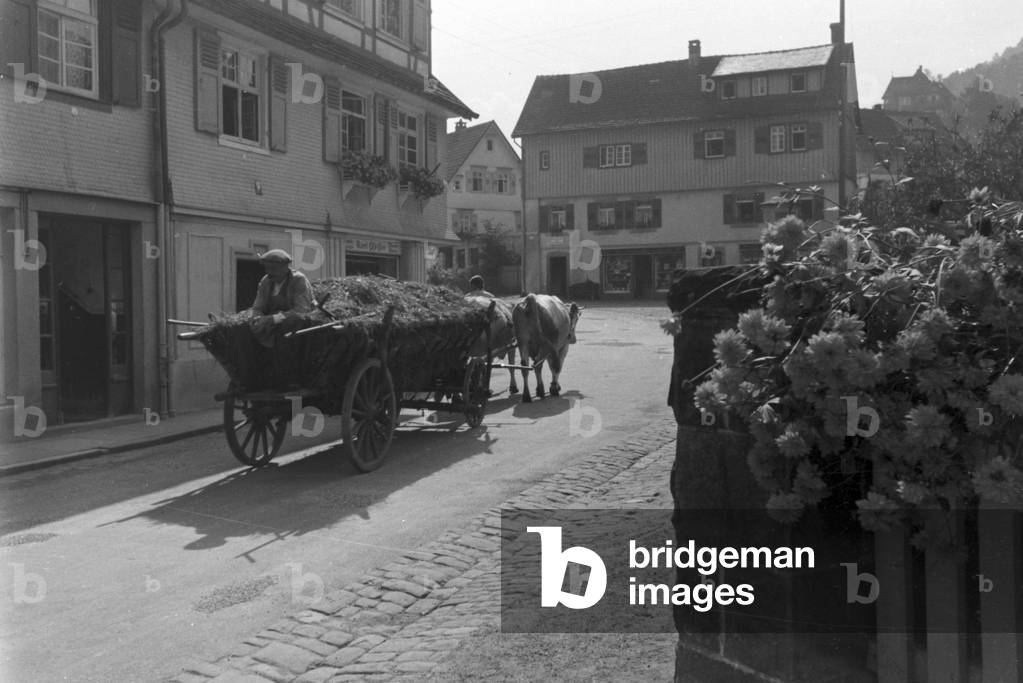 Holidays in the Black Forest, Germany 1930s (b/w photo)