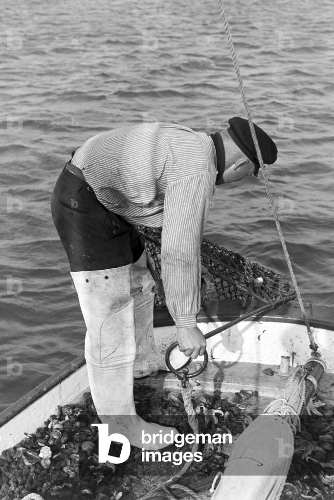 Fishermen at work, Germany 1930s (b/w photo)
