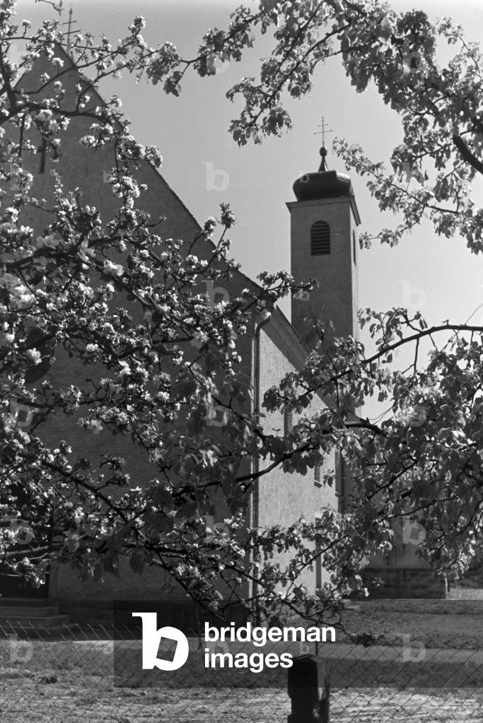 A trip to Heilbronn, Germany 1930s (b/w photo)