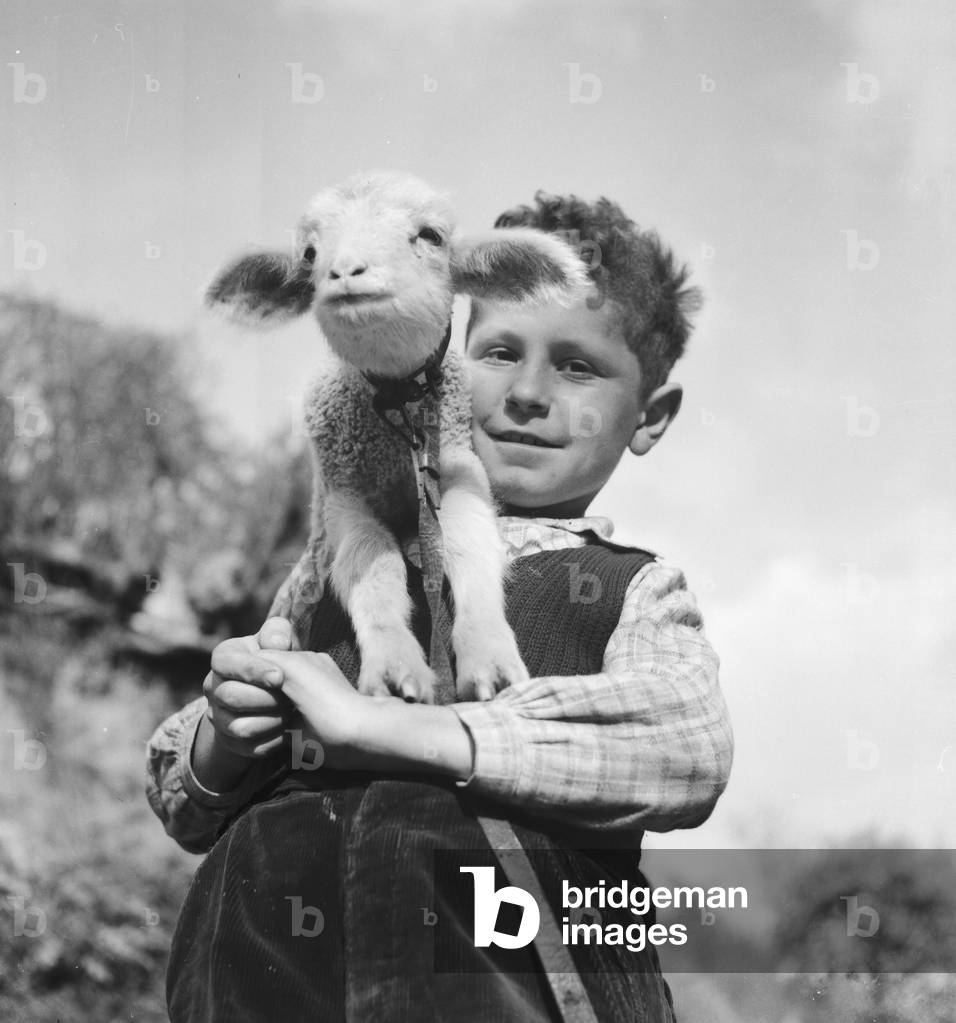 Summer in the countryside, Germany 1930s (b/w photo)