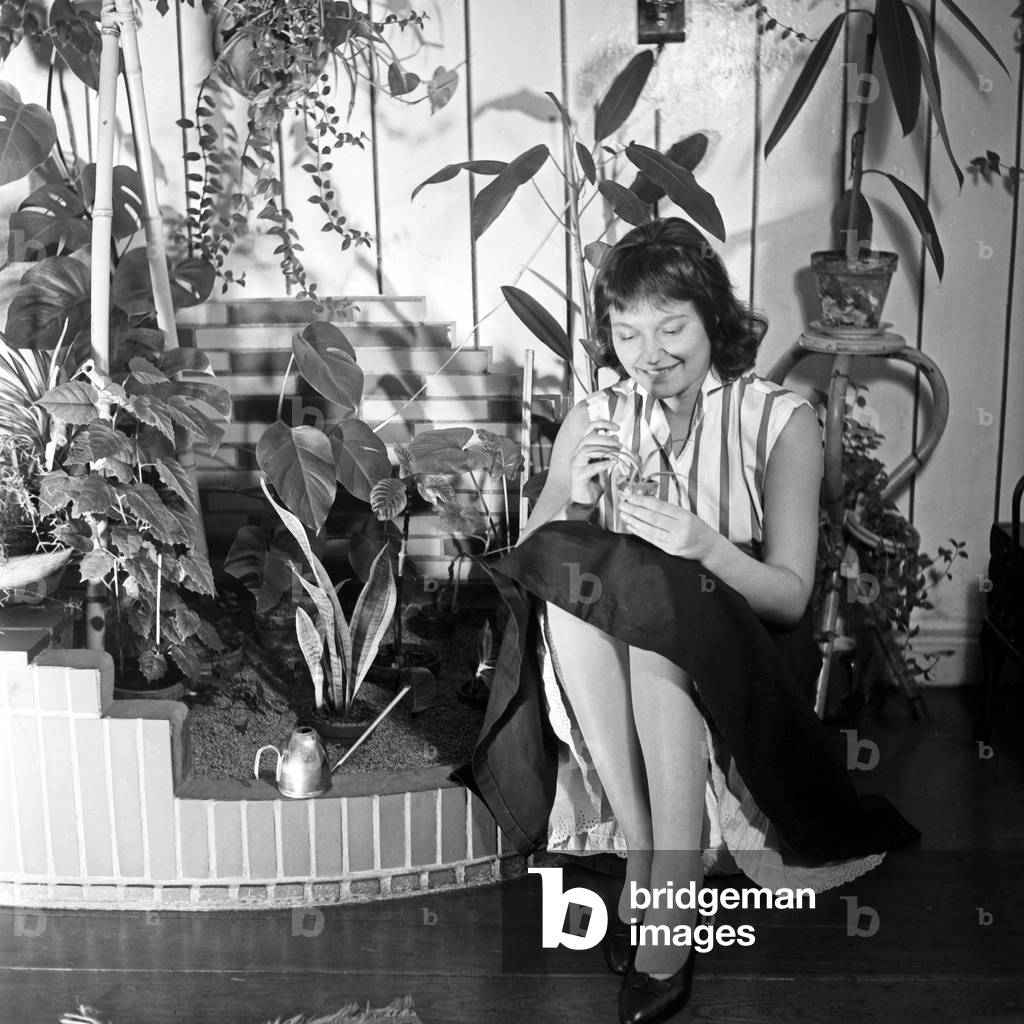 A young woman taking care for a small plant on a corner of indoor plants, Germany 1950s
