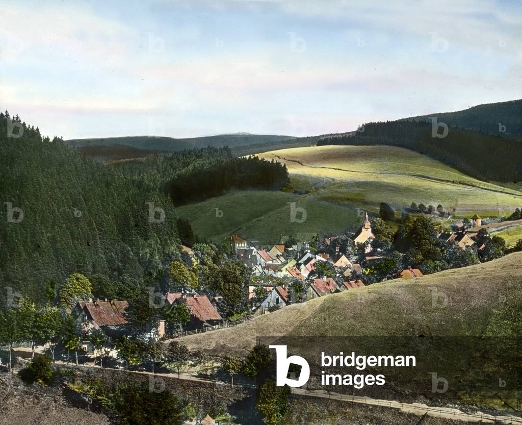 View to Rotenberg near Altenau in the Harz region