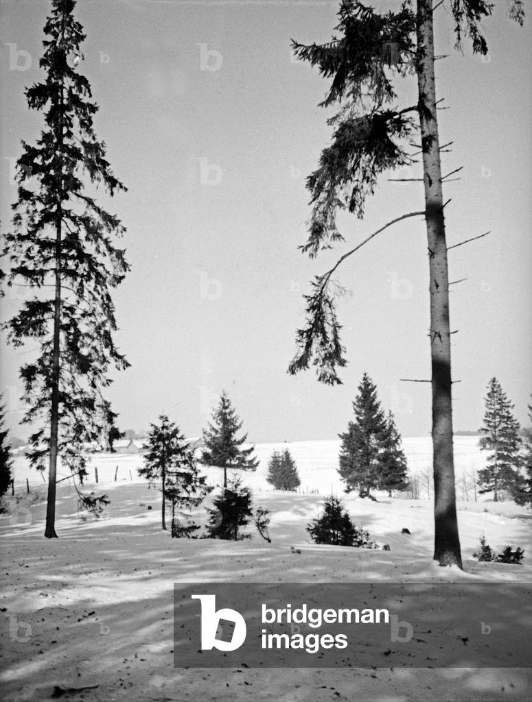 Wintertime at Stablack landscape, East Prussia, 1930s (b/w photo)