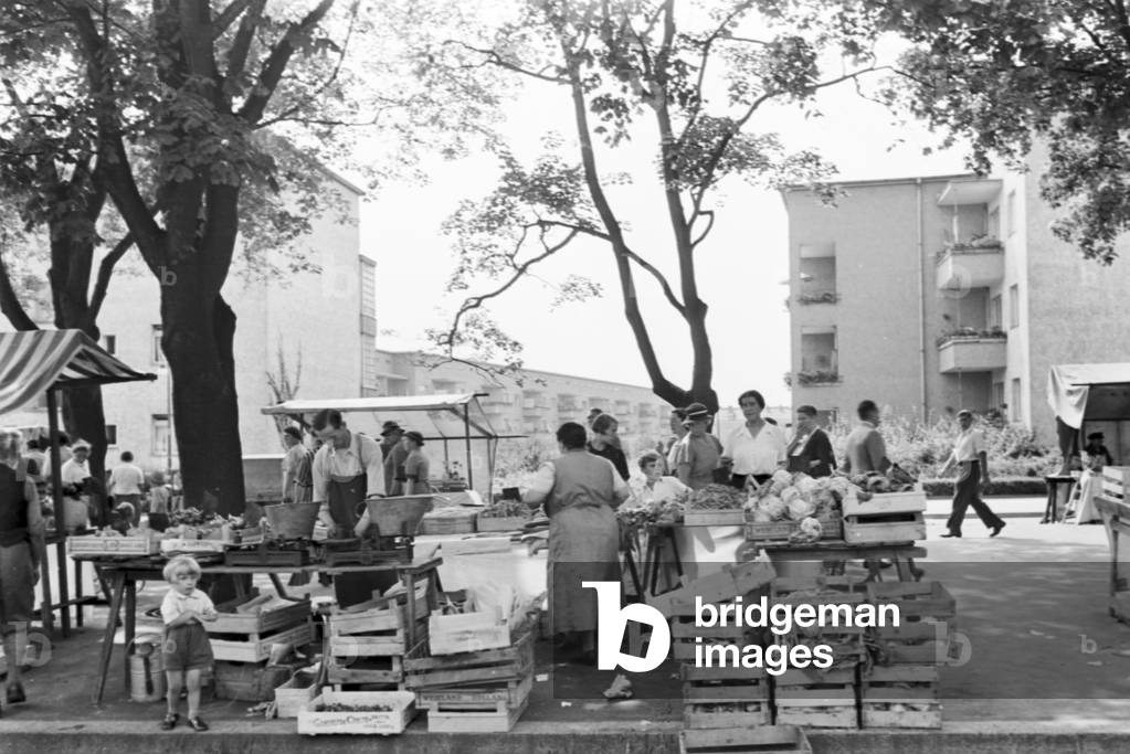 Visitation of the farmer's market near the 