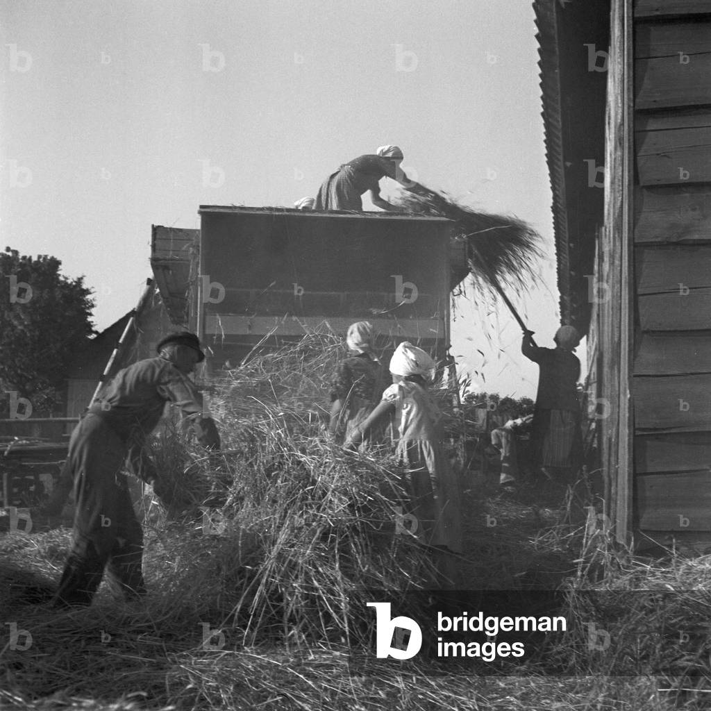 Farmers doing the hay harvest at East Prussia, Germany 1930s (b/w photo)