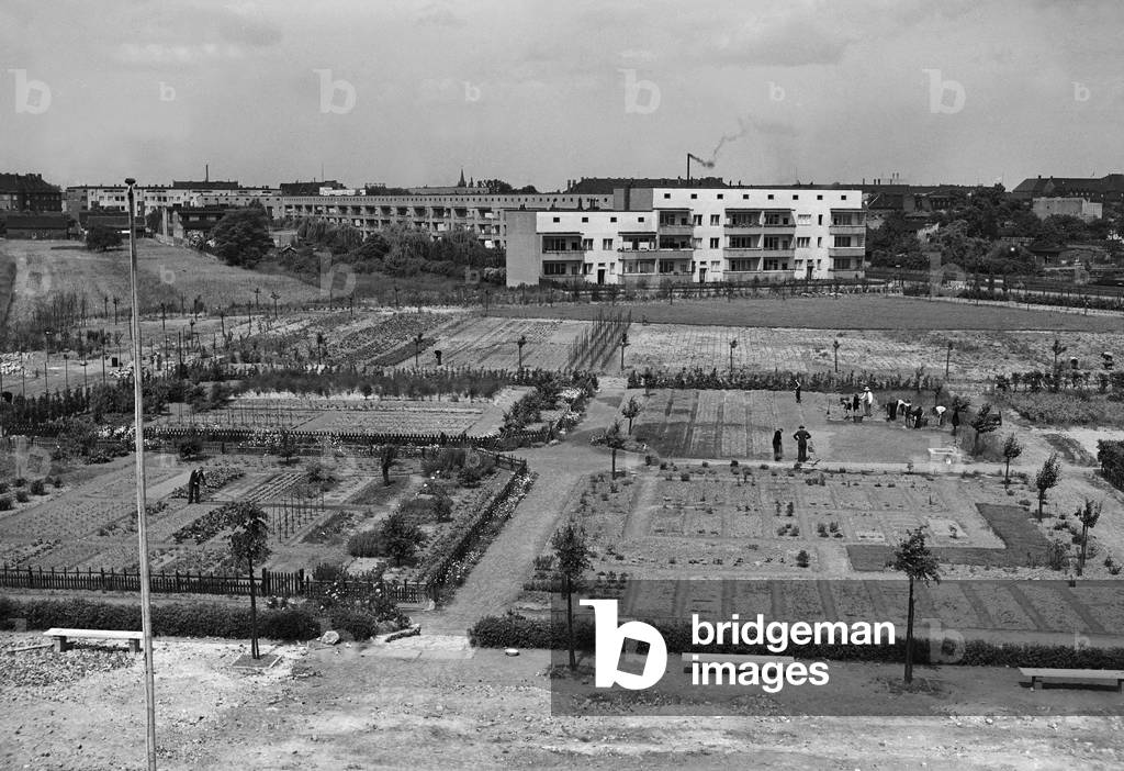 Exercising garden for the apprenticeship for gardeners, Germany 1930s (b/w photo)