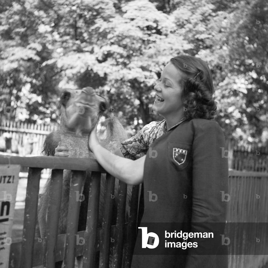 A young woman at the camel compound at Wilhelma zoological gardens at Stuttgart, Germany 1930s (b/w photo)